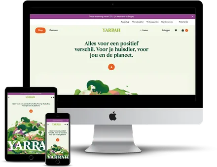 Portfolio example 19